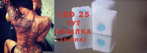 спиды Новокубанск